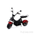 Heavy Load Suspension complète Eco Electric Motorcycle CityCoco